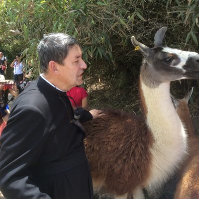 Con la llama en Machu Picchu - Cusco Perú