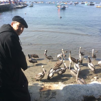 Observando lo pelicanos en Lima